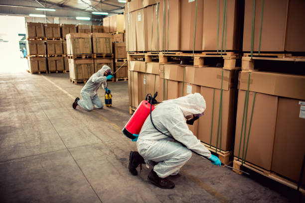 Pest Prevention Services in Saukville, WI