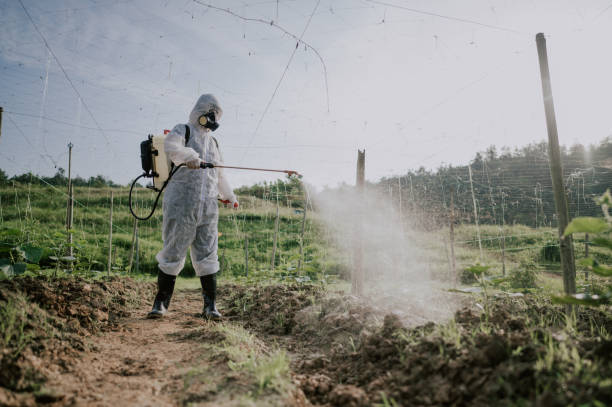 Best Affordable Pest Control Services  in Saukville, WI
