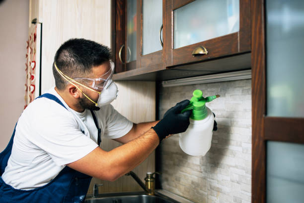 Best Pest Prevention Services  in Saukville, WI