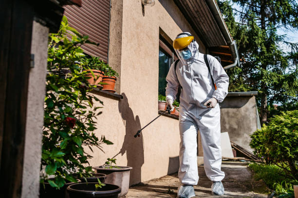 Best Rat Extermination Near Me  in Saukville, WI