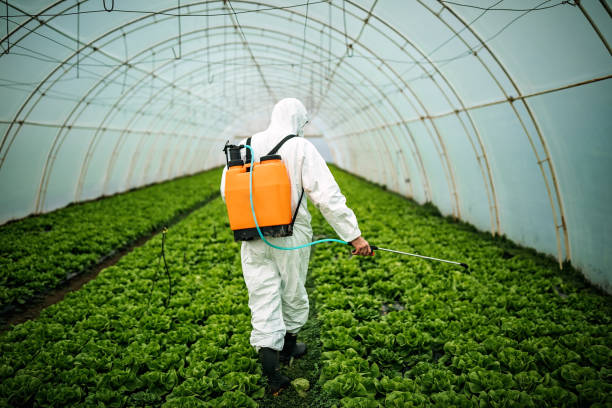 Best Commercial Pest Control Services  in Saukville, WI