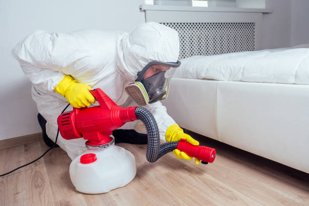 Best Pest Control Near Me in Saukville, WI