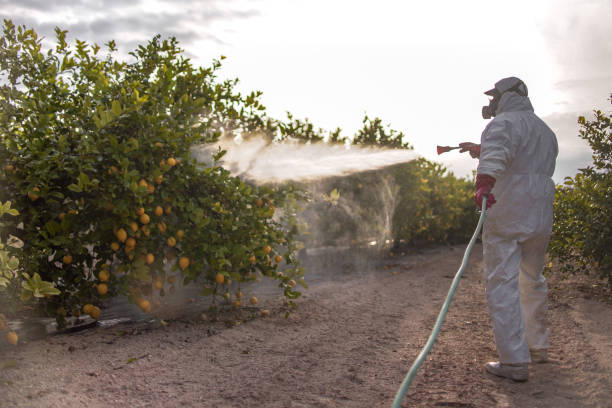 Wildlife Control Services in Saukville, WI