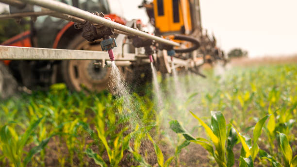 Best Best Pest Control Companies  in Saukville, WI